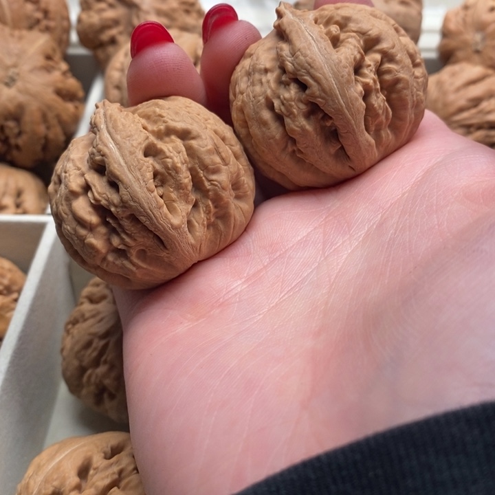 一***月文玩核桃把件霸王龙