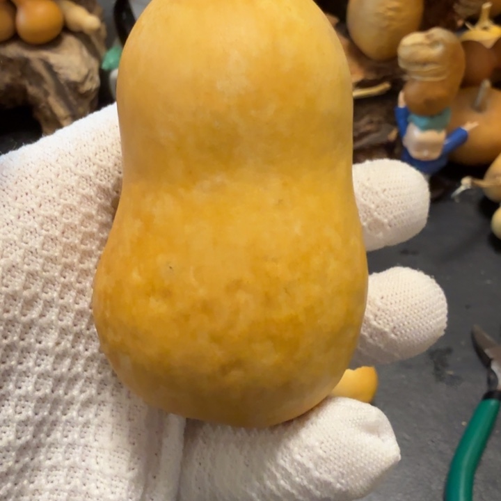 1***道66666666666666666