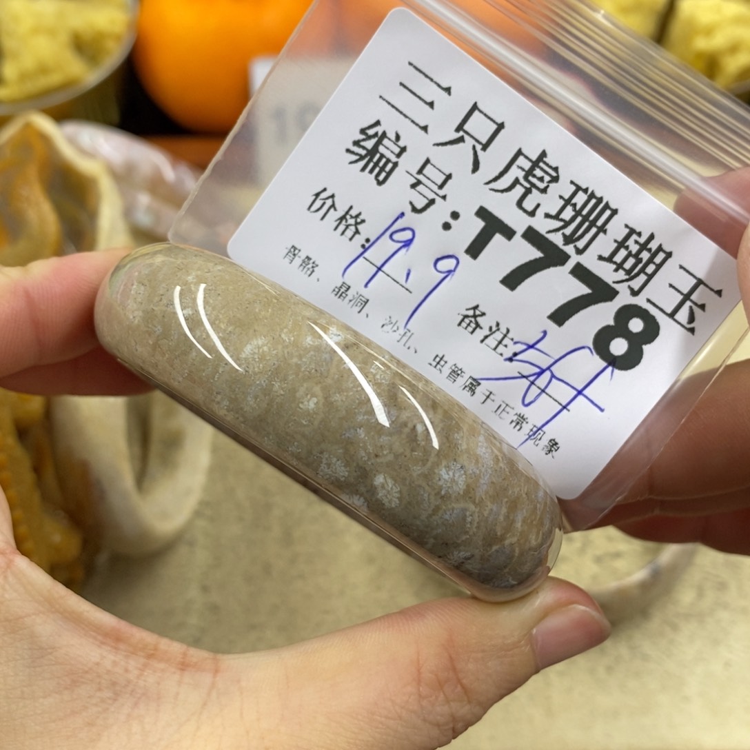 硅化珊瑚（珊瑚玉）1未镶嵌?****