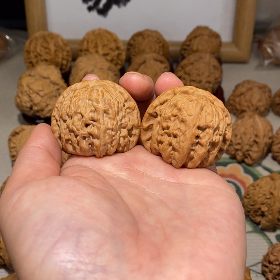 文玩核桃把件39尺白狮子
