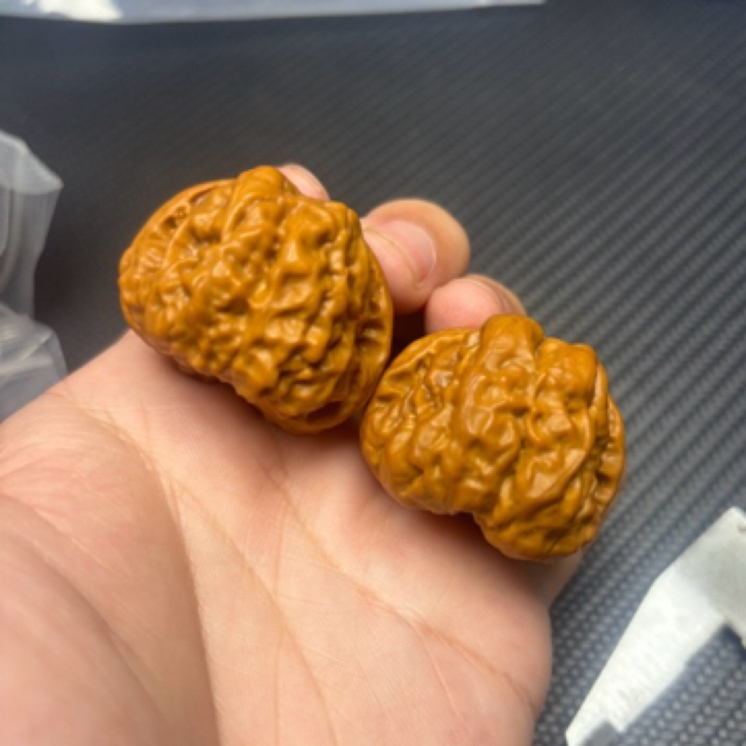 延庆肌肉蛙S级38尺寸有修已打底25号