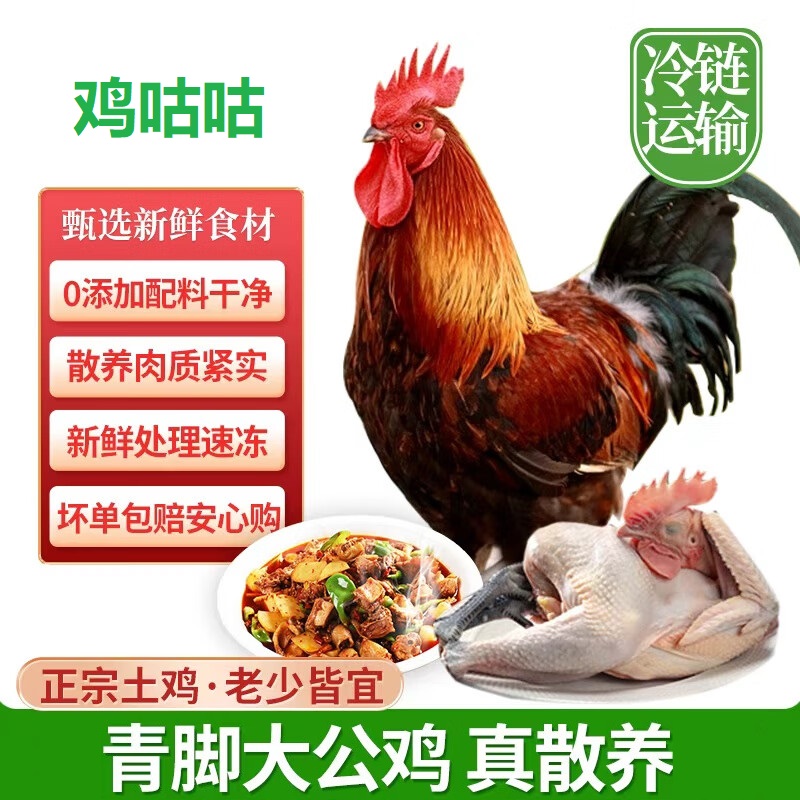【1年以上】纯粮散养正宗土公鸡1只新鲜宰杀大公鸡