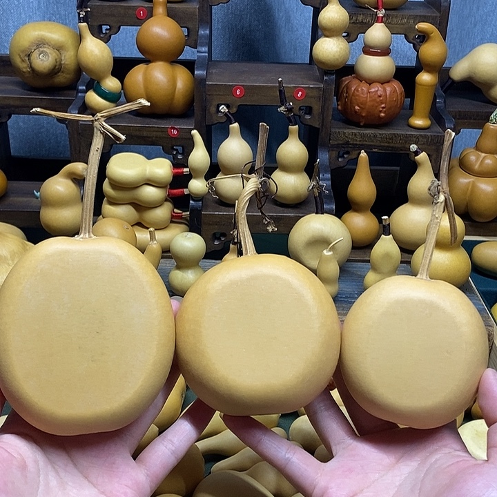 苹果扁葫芦厚皮全品