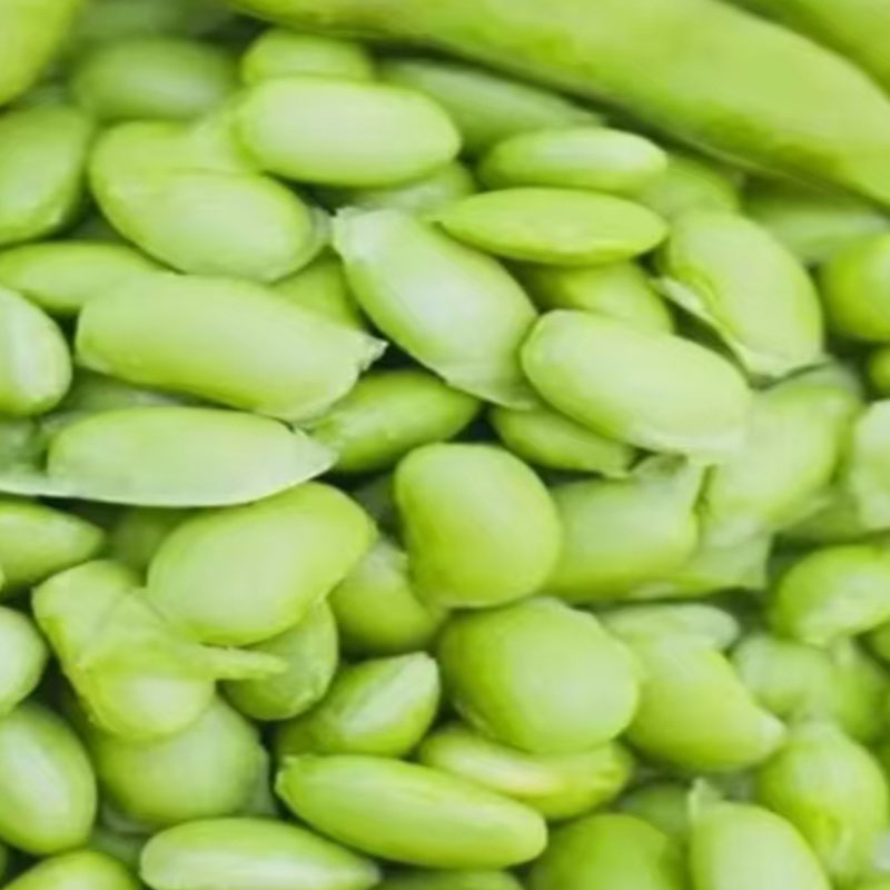 【江西上饶特产】新鲜青豆蔬菜制品霉豆子新鲜豆类