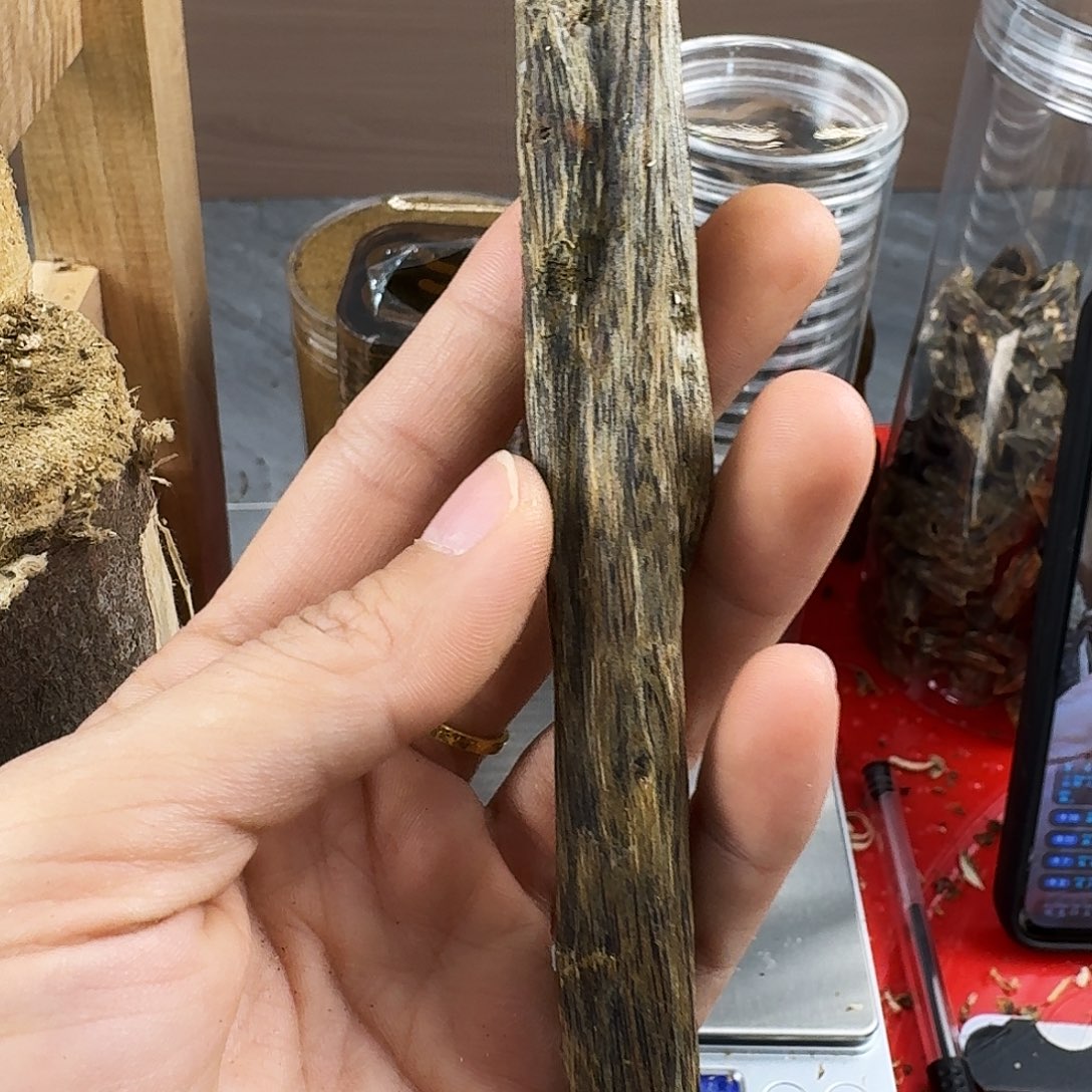香料绿奇楠虫漏白棋11克