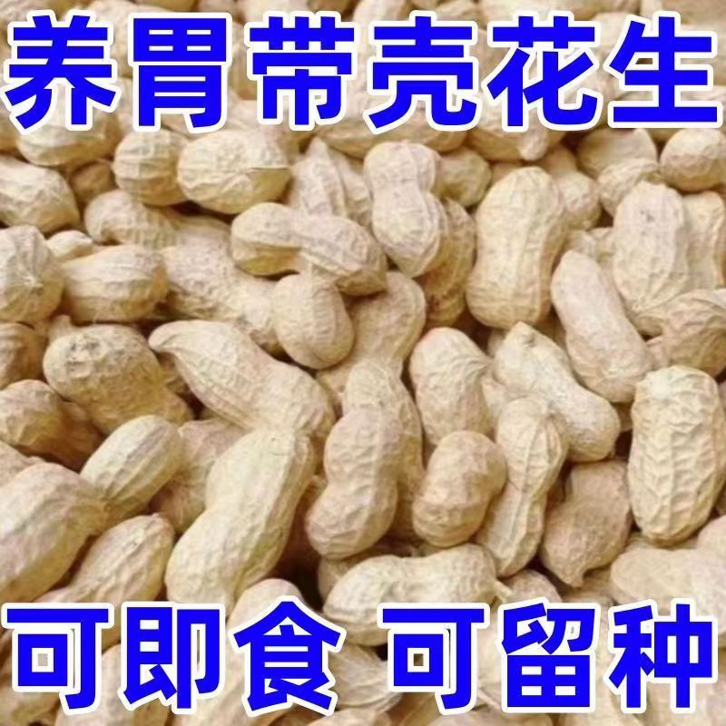 25年农家新鲜带壳红皮四粒红大花生花生米农家自种晒干干货