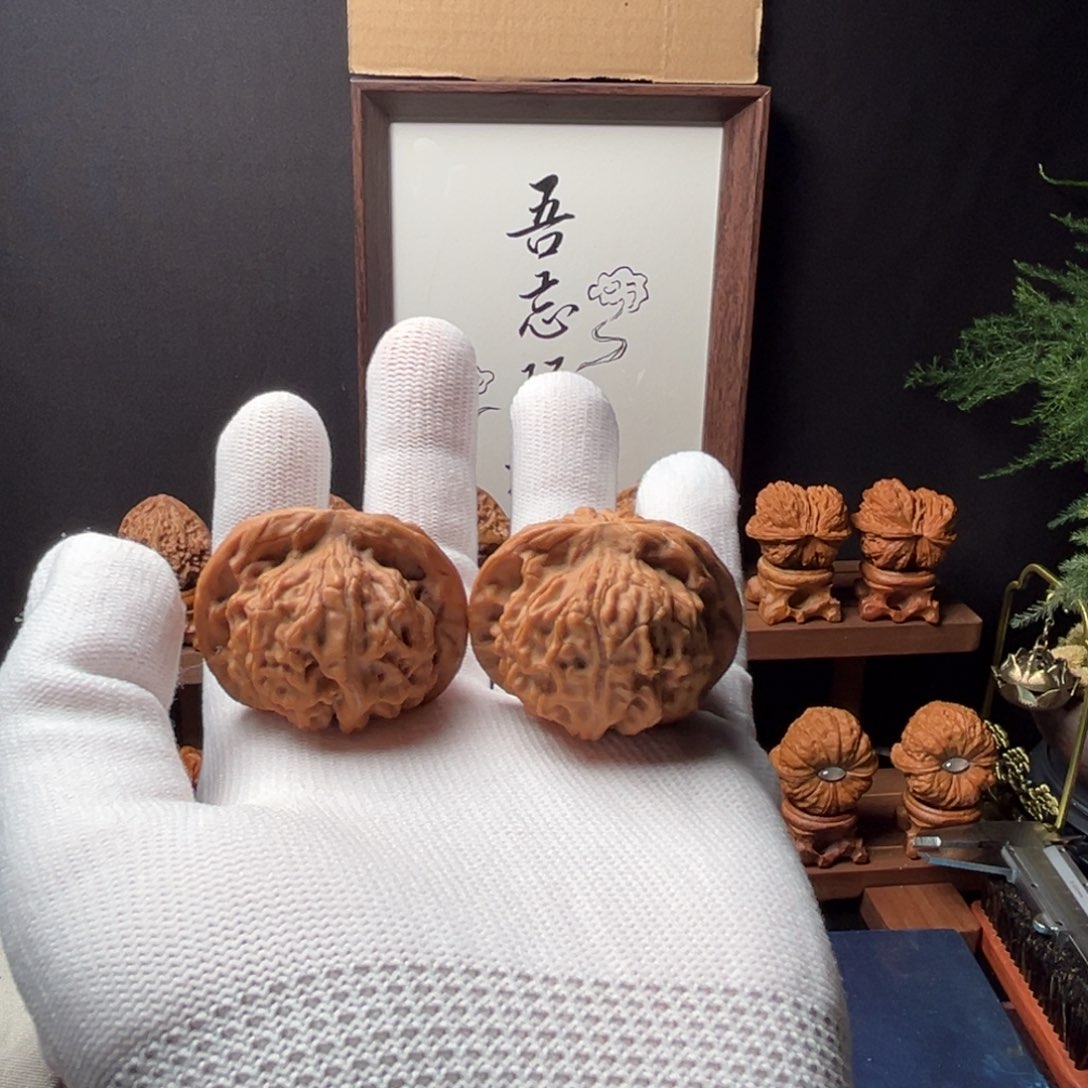 核桃41mm全品矮桩天地