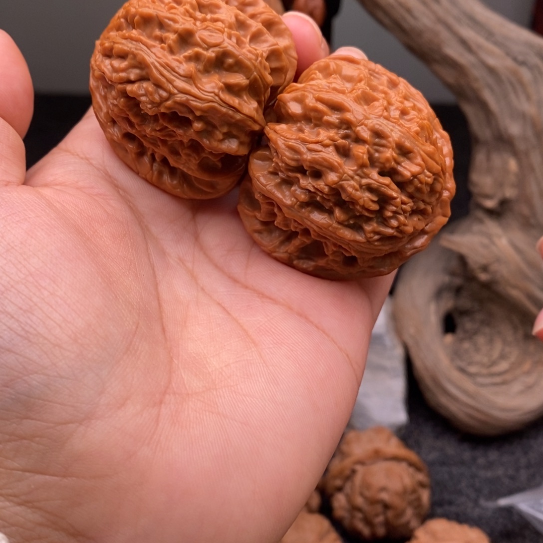 文玩核桃把件42白狮子