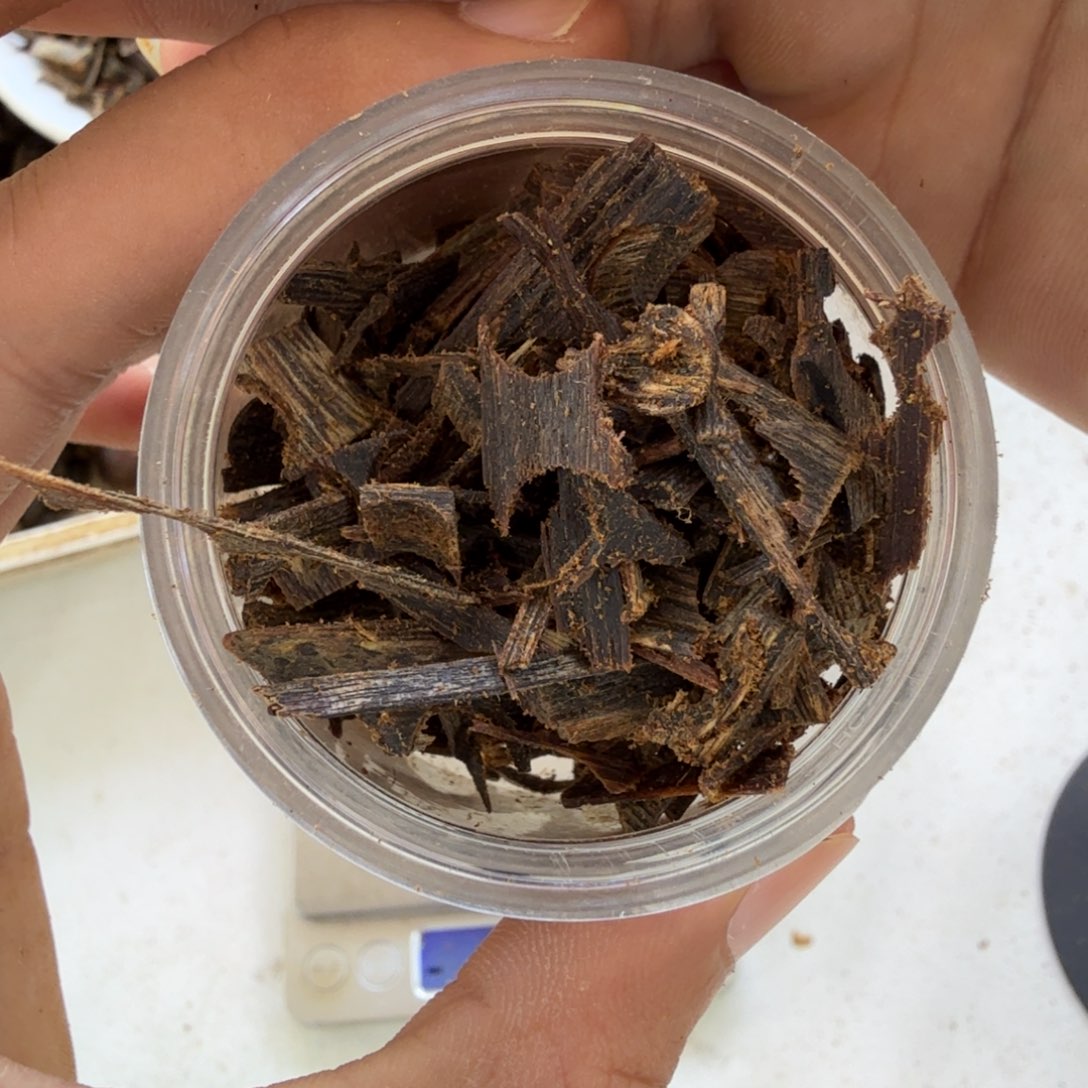 沉香碎屑沉香20克沉水碎料多样性发一