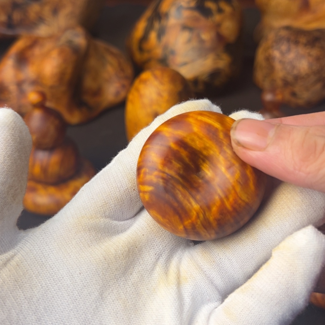 琥珀木长白山琥珀木