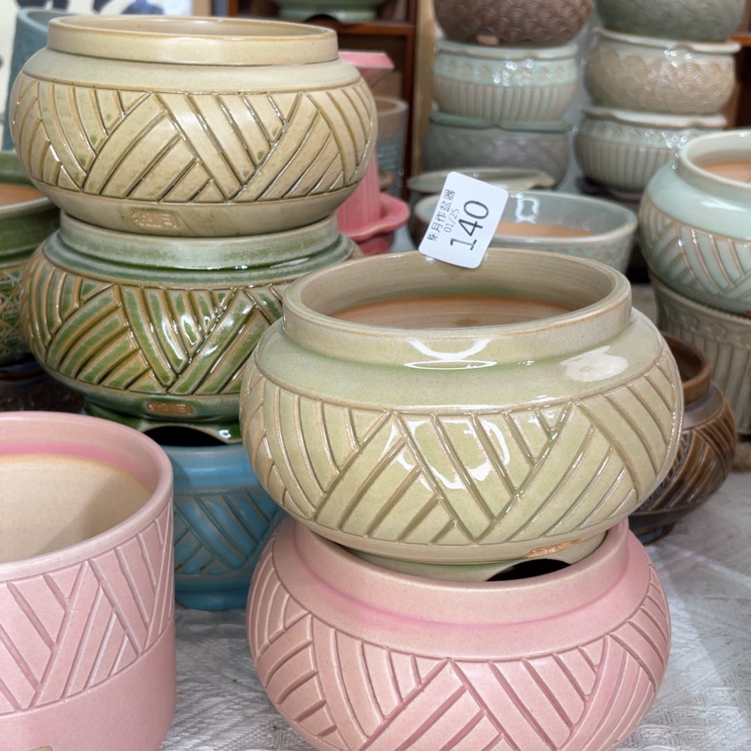景德镇陶瓷 140 内口8.5 cm一**泡