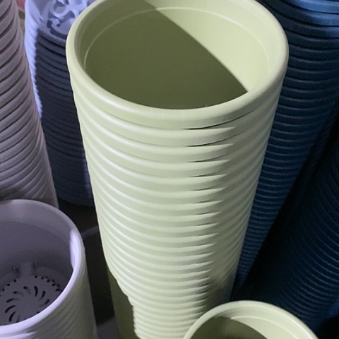 树脂四季2号果绿带托12套