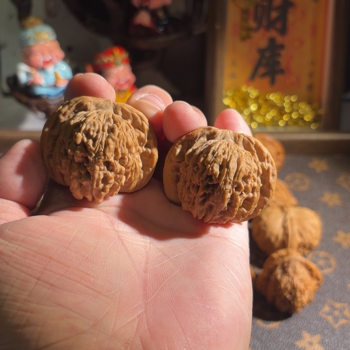 45四座楼全品无修