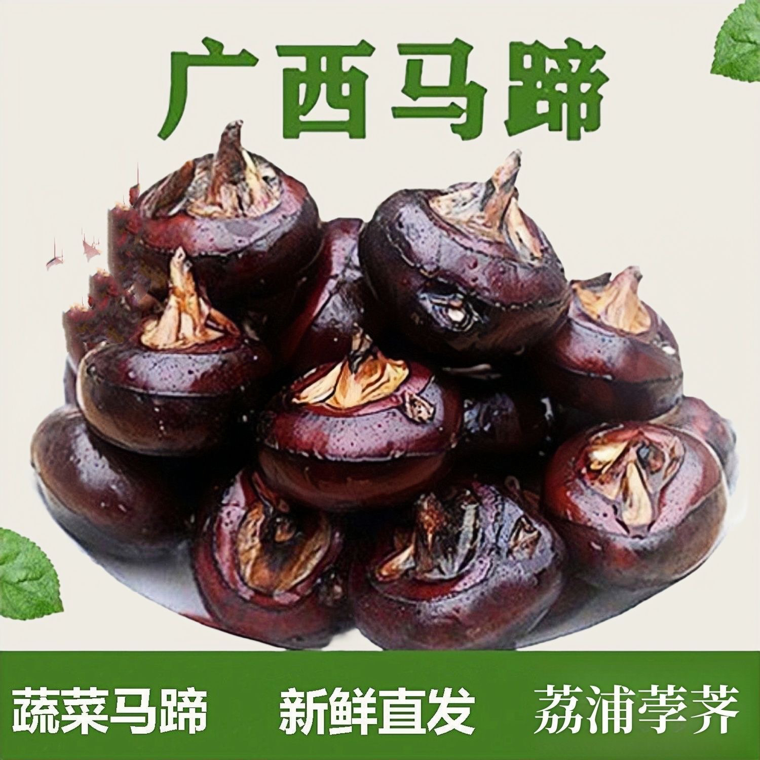 （尝鲜特卖）正宗荔浦马蹄带泥发货广西特产桂林荸荠大果中果混发