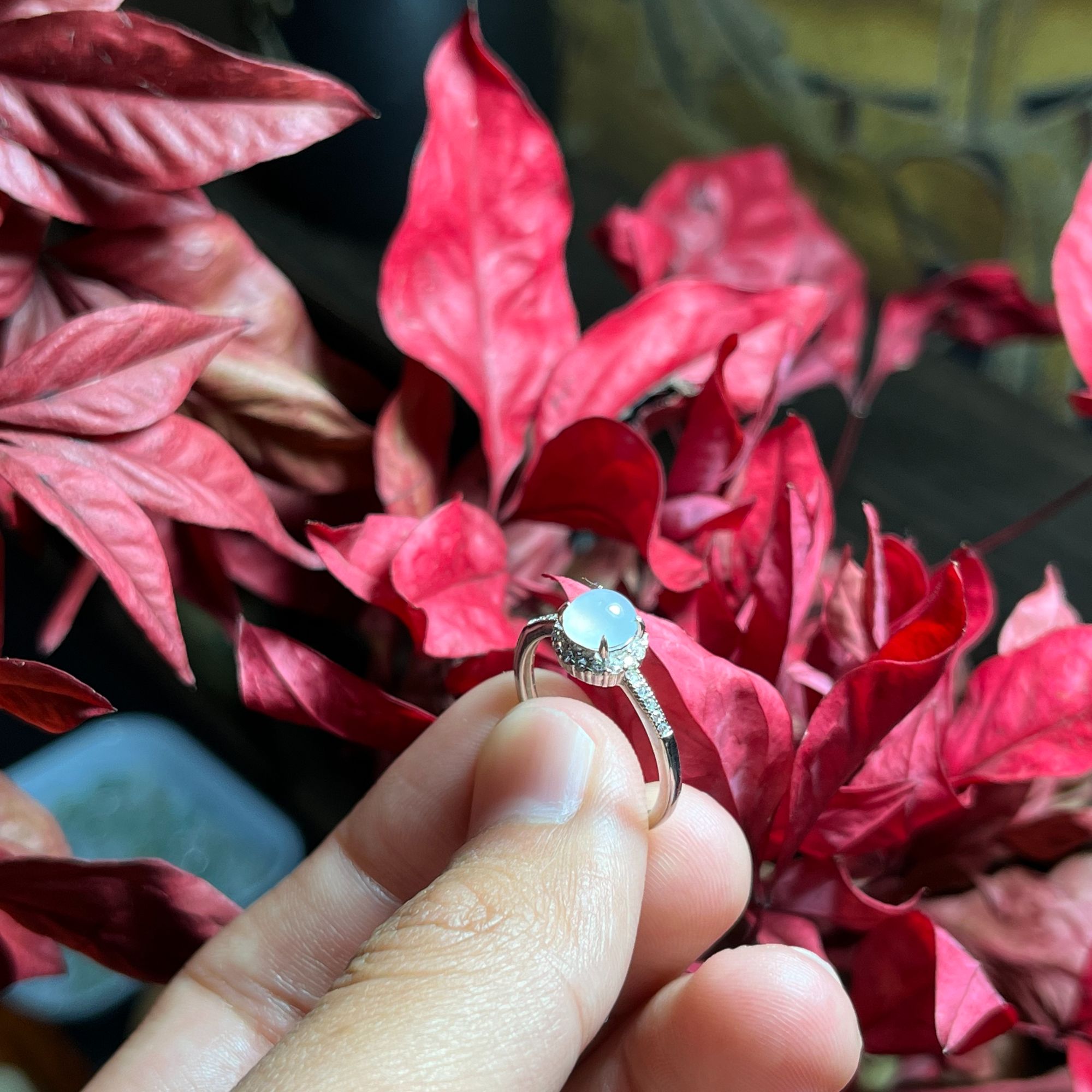 天然a货翡翠戒指  翡翠戒指 情人节礼物 轻奢复古精致指环