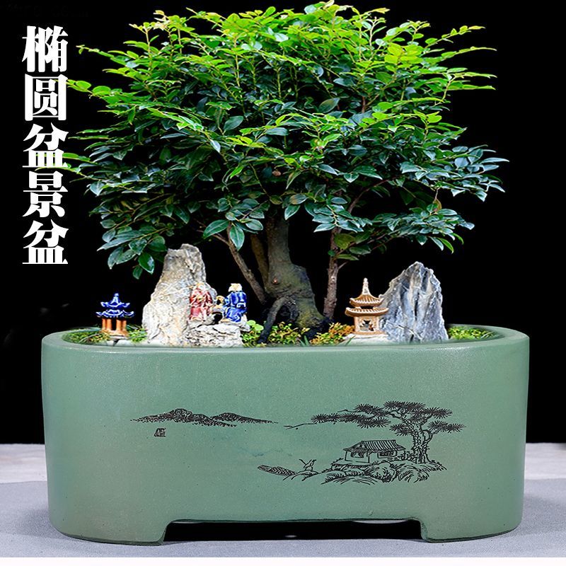 宜兴紫砂花盆柴烧加深加大椭圆盆景适合老桩榕树金弹子老鸦柿绿植
