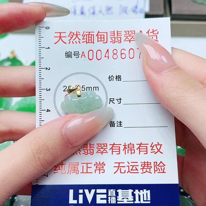 翡翠未镶嵌吊坠(不含链)111111111