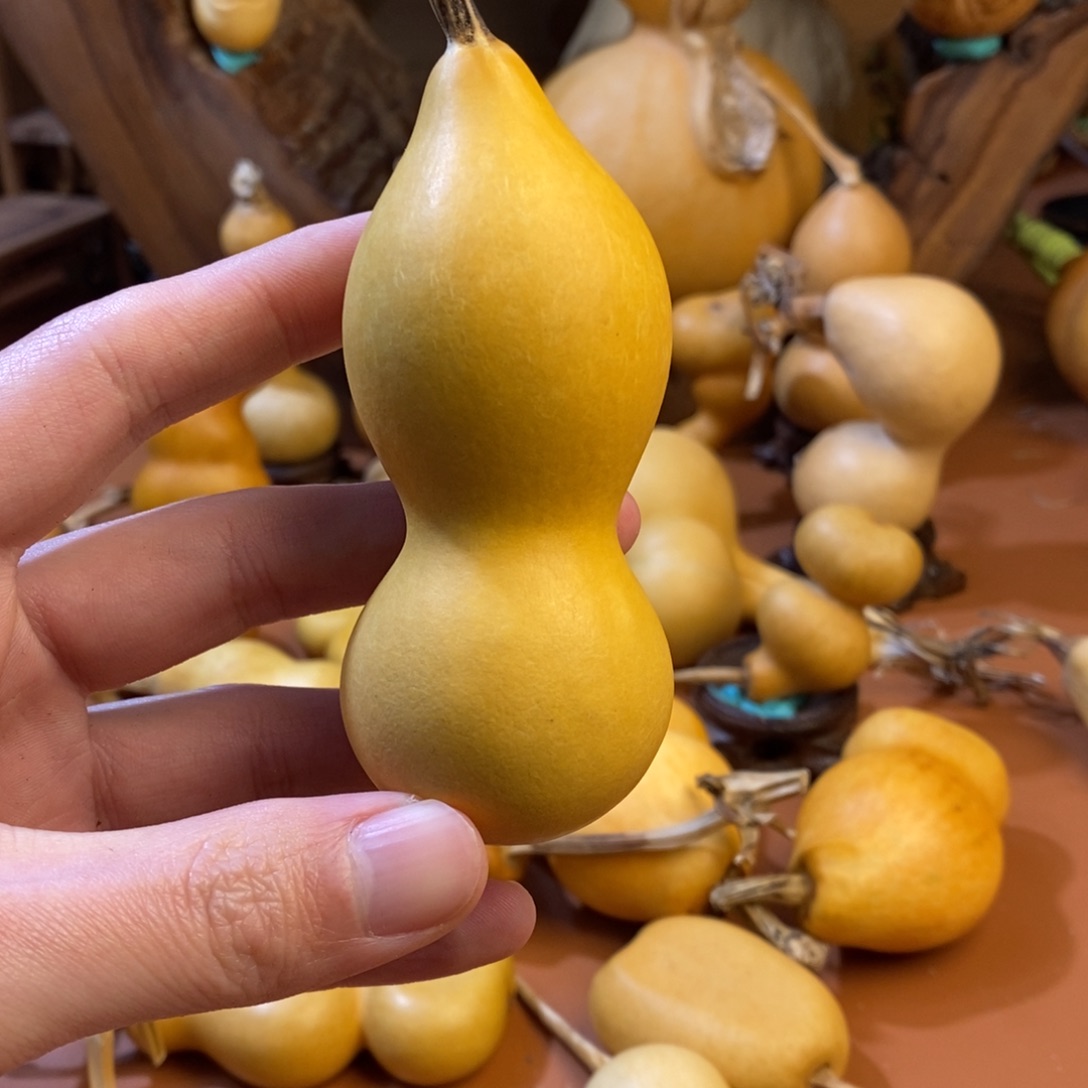 S***y教练教练教练经理