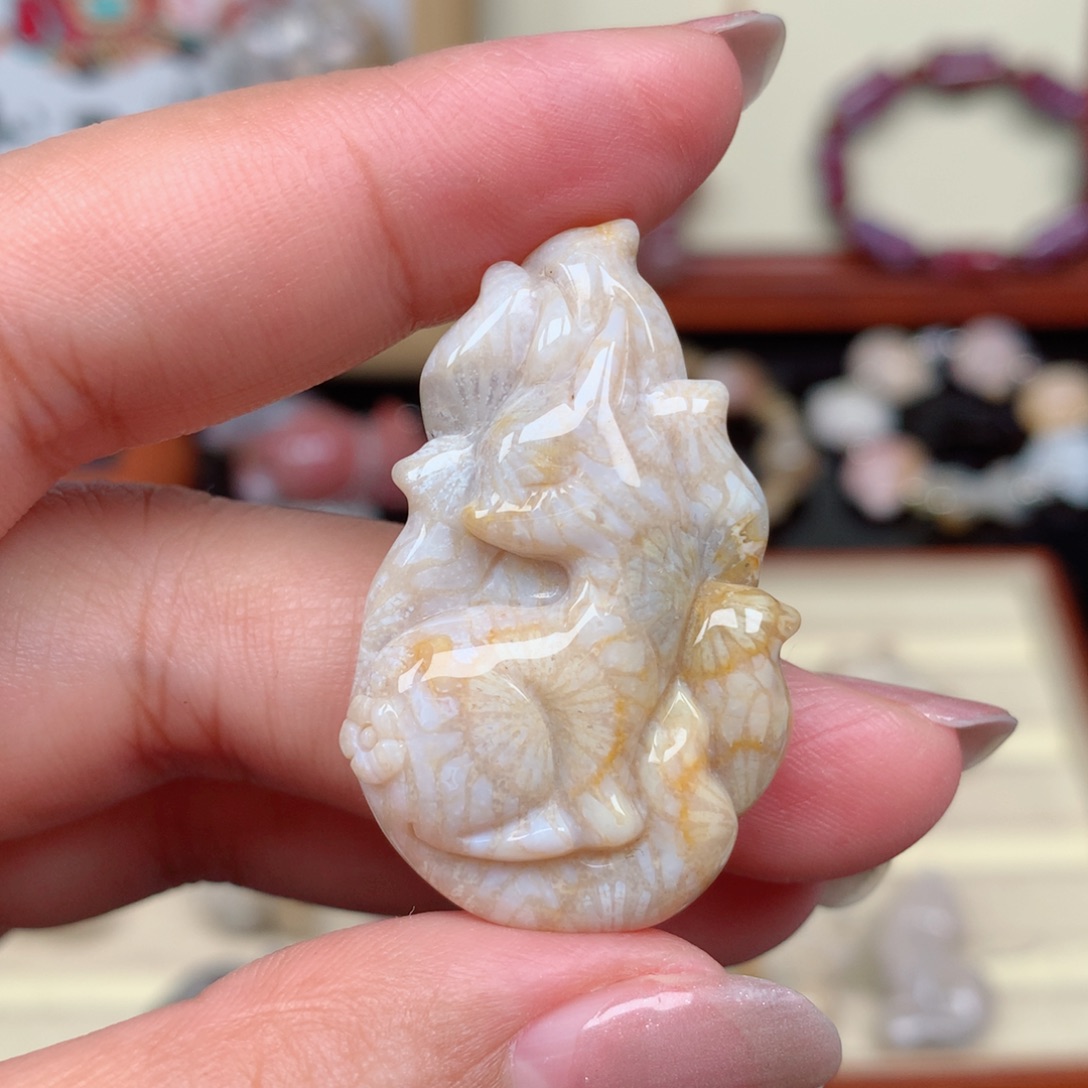 硅化玉珊瑚玉未镶嵌