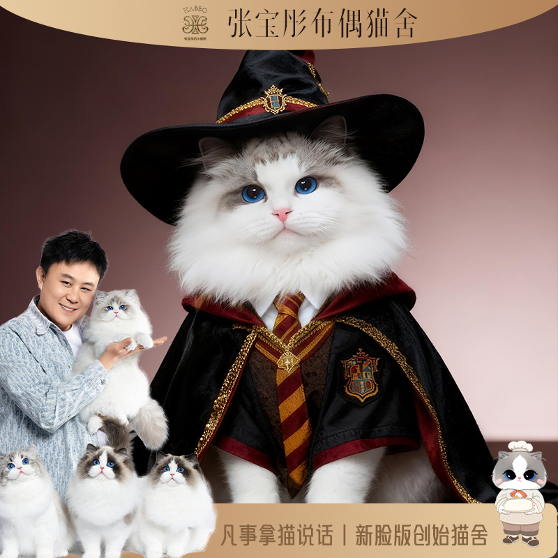 张宝彤布偶猫舍-绊脚弟弟 | 新脸版创始猫舍