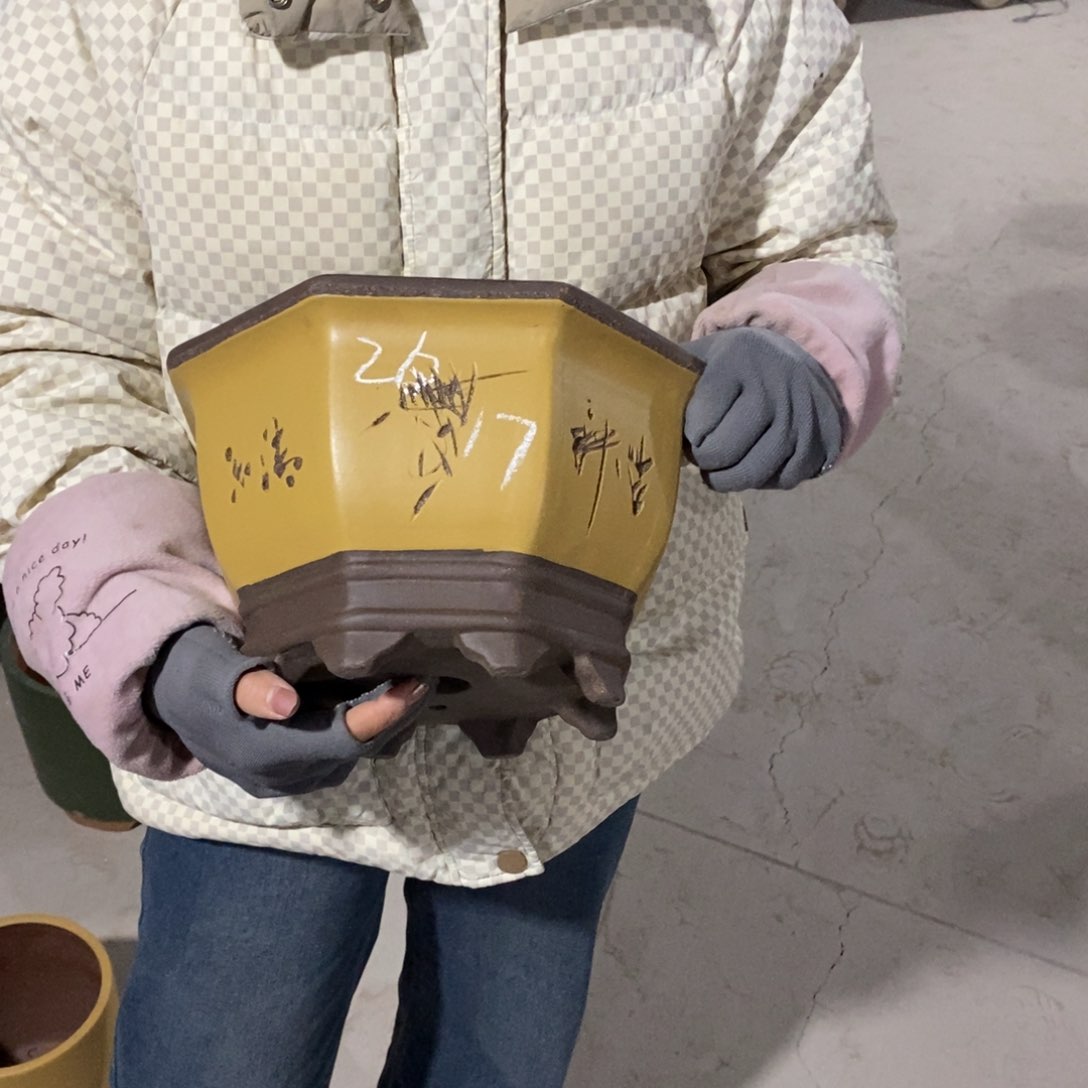 紫砂花盆紫砂花盆