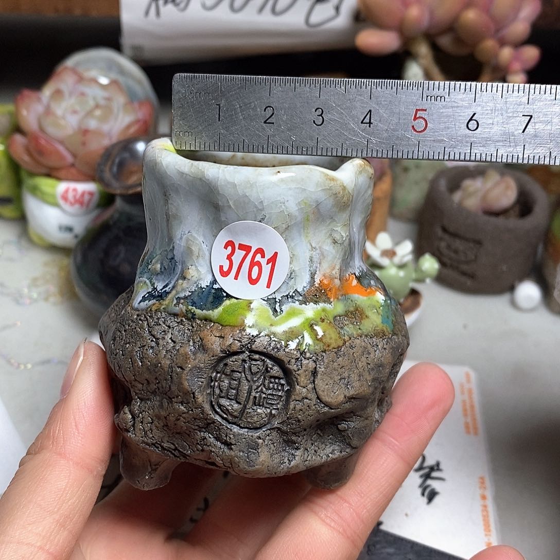 红陶处理，拍5送一个小