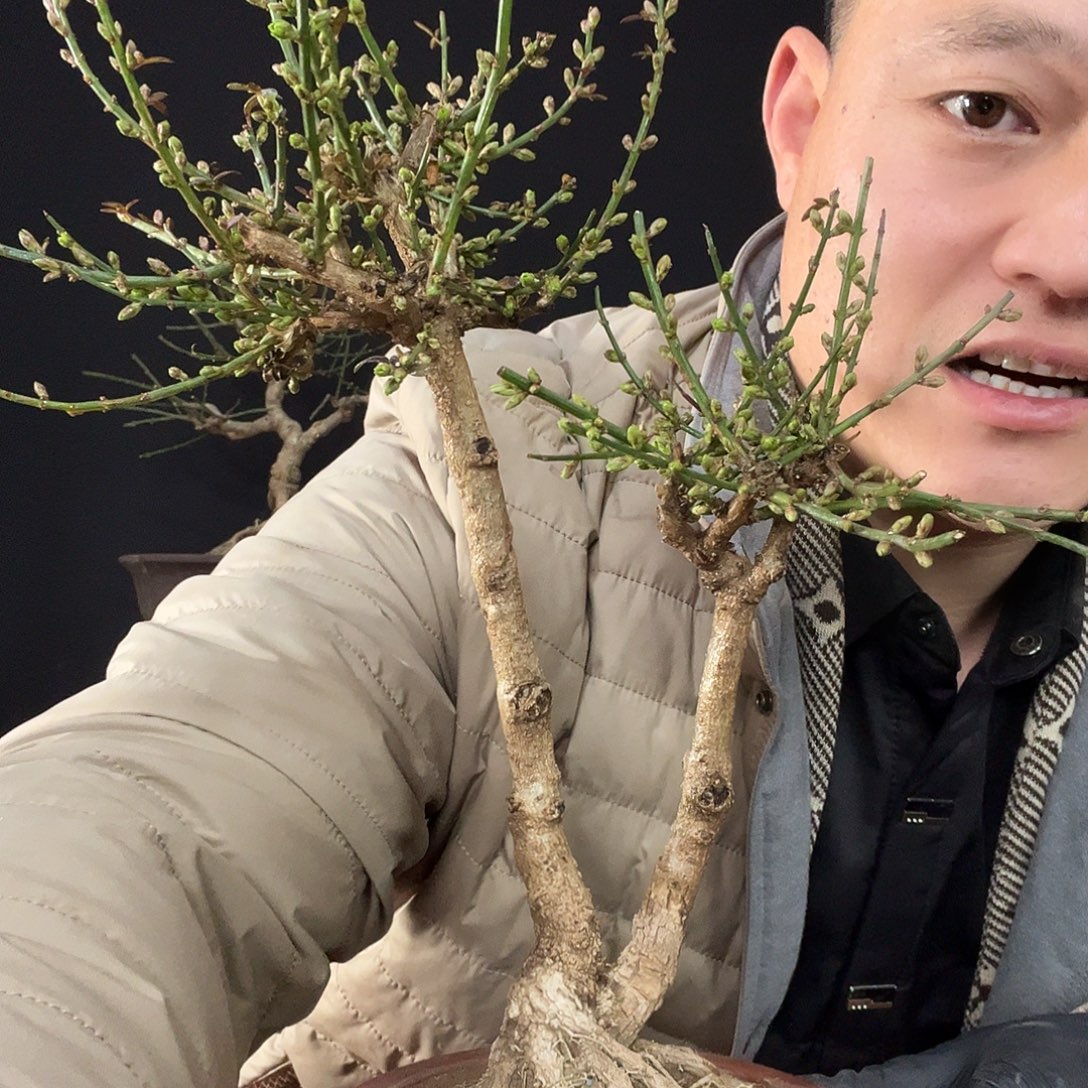 橡***品无花朵谢谢你的关心和支持