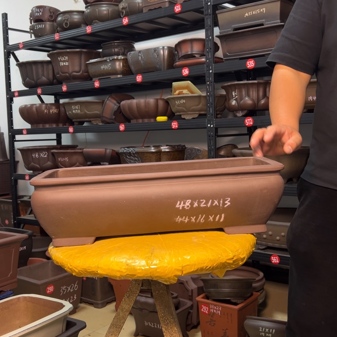 紫砂花盆呜呜呜呜呜