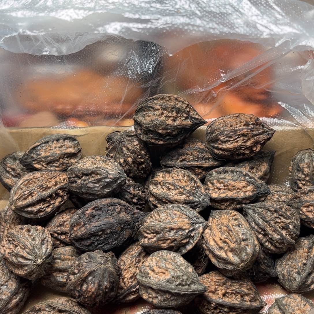 手串文玩核桃核桃44