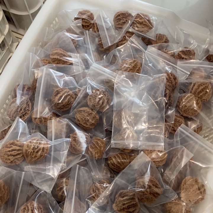 吊坠文玩核桃野龙（两单起拍）