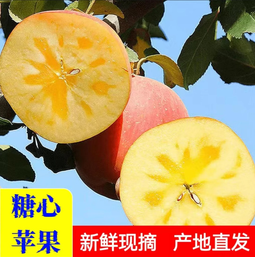【老树冰糖心丑苹果】山西红富士丑苹果原产地发货爆甜爆脆