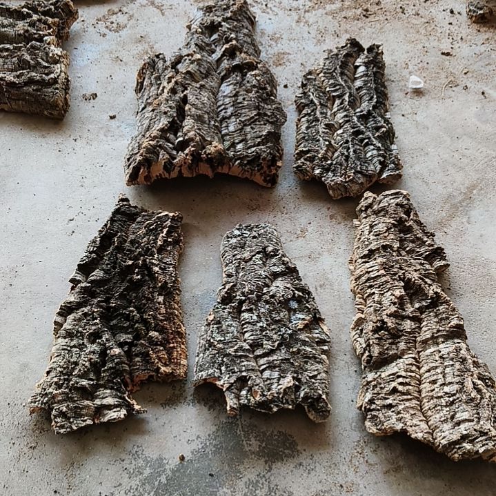 木一物一拍一物一发