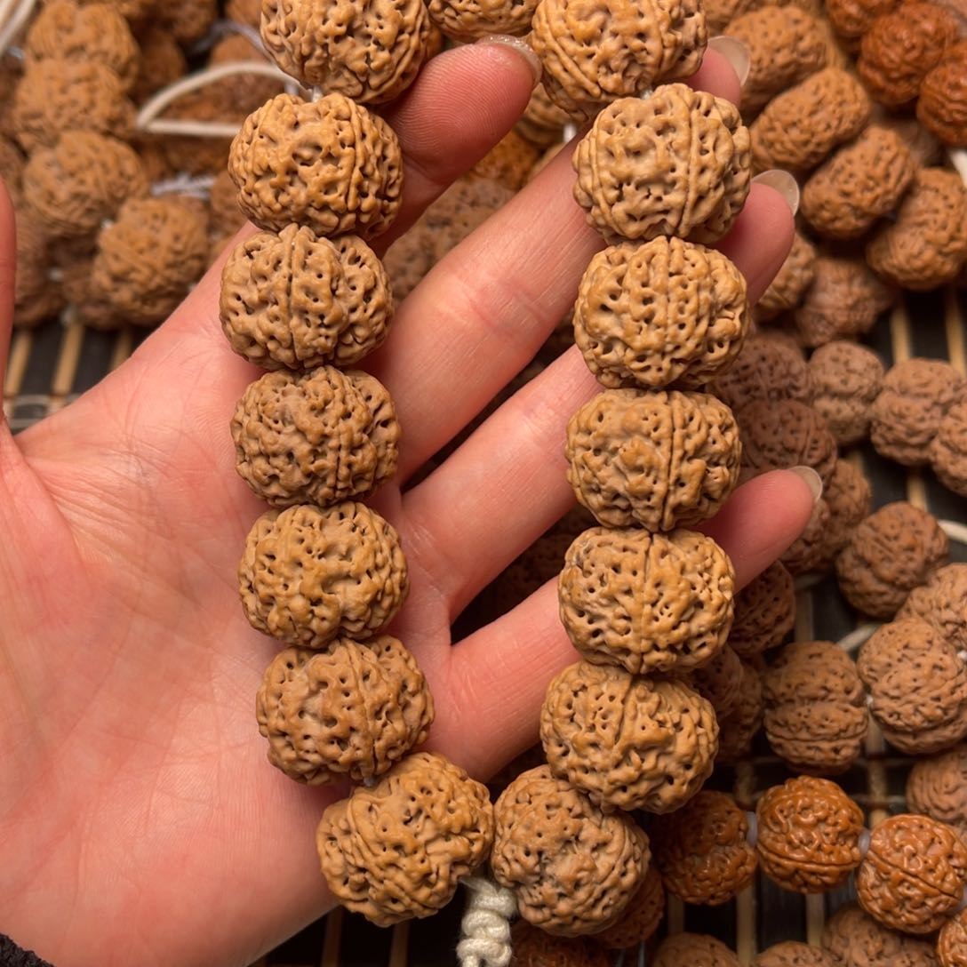 菩提尼泊尔大金刚原生态豆腐块梅花23