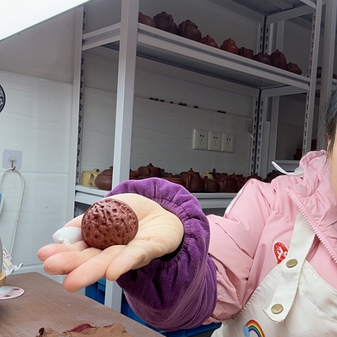 朱泥核桃茶宠茶宠