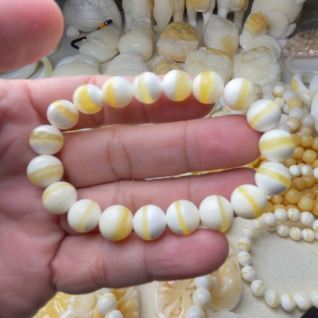 非金属贝壳A***i天然贝壳