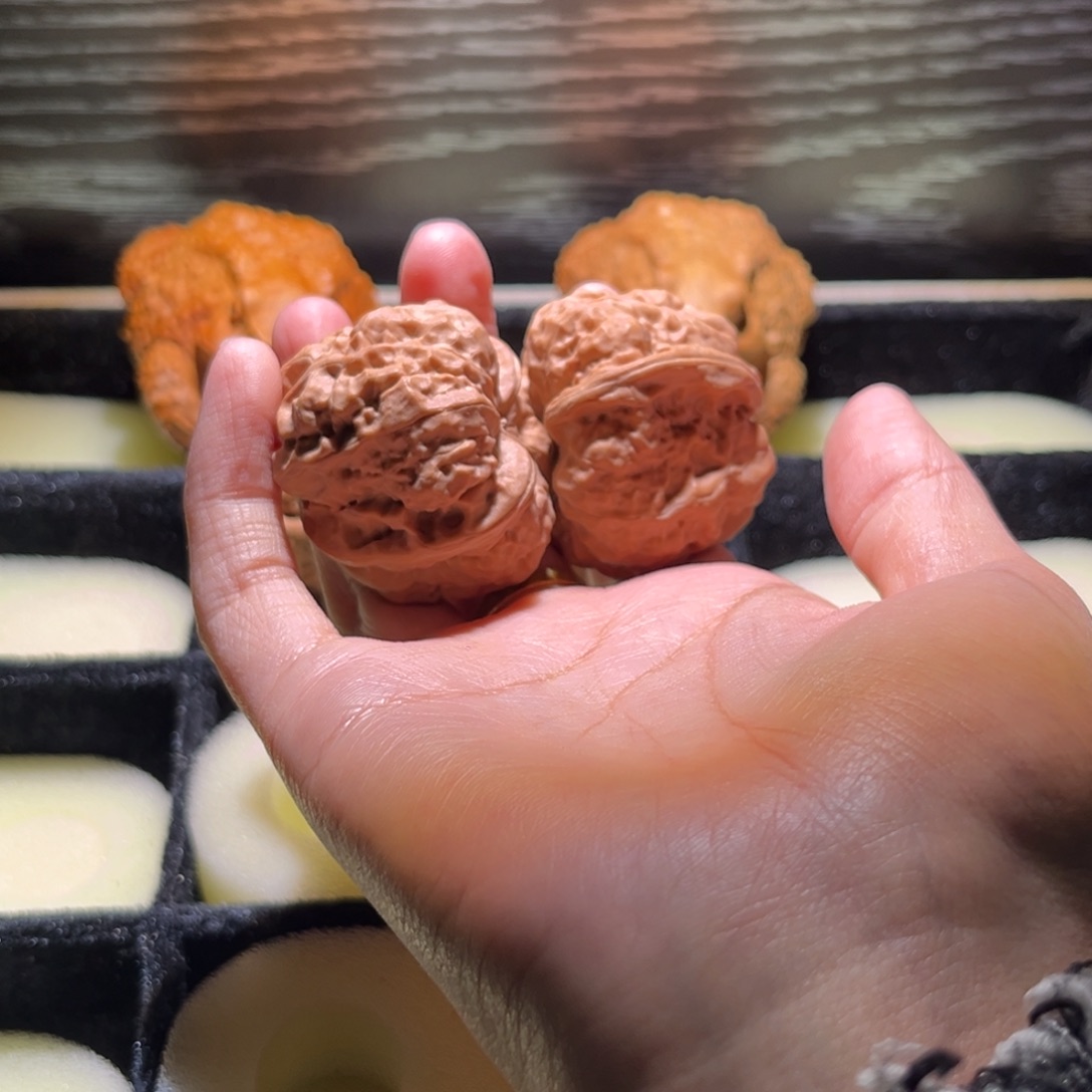 海***海大叶紫檀（黑酸枝木类）蛤蟆