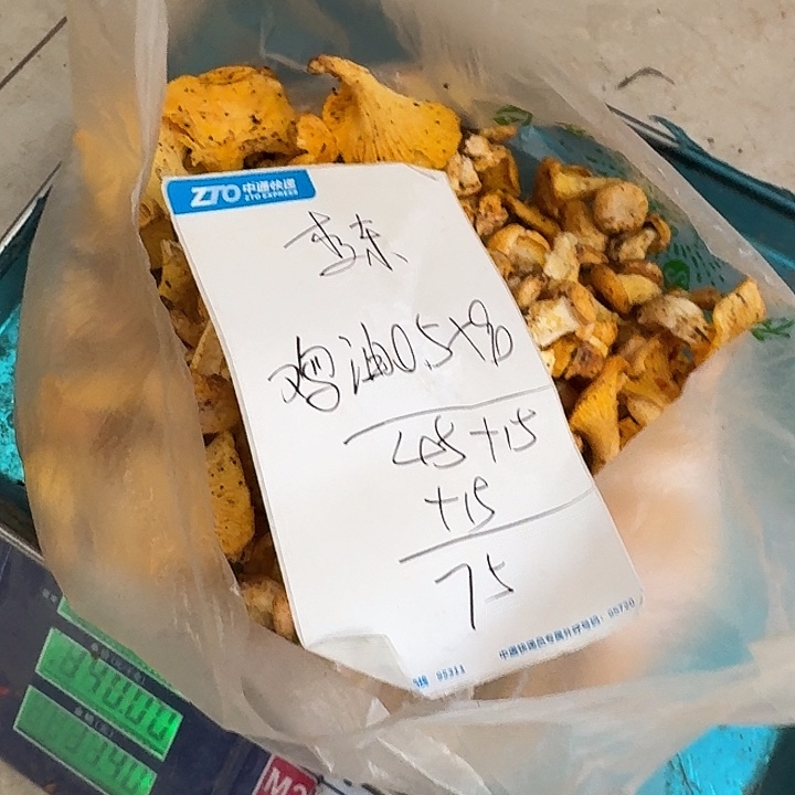 *****南华……………………………………中国大陆