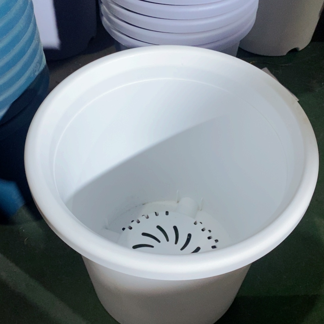 树脂四季7号纯白色5个无拖