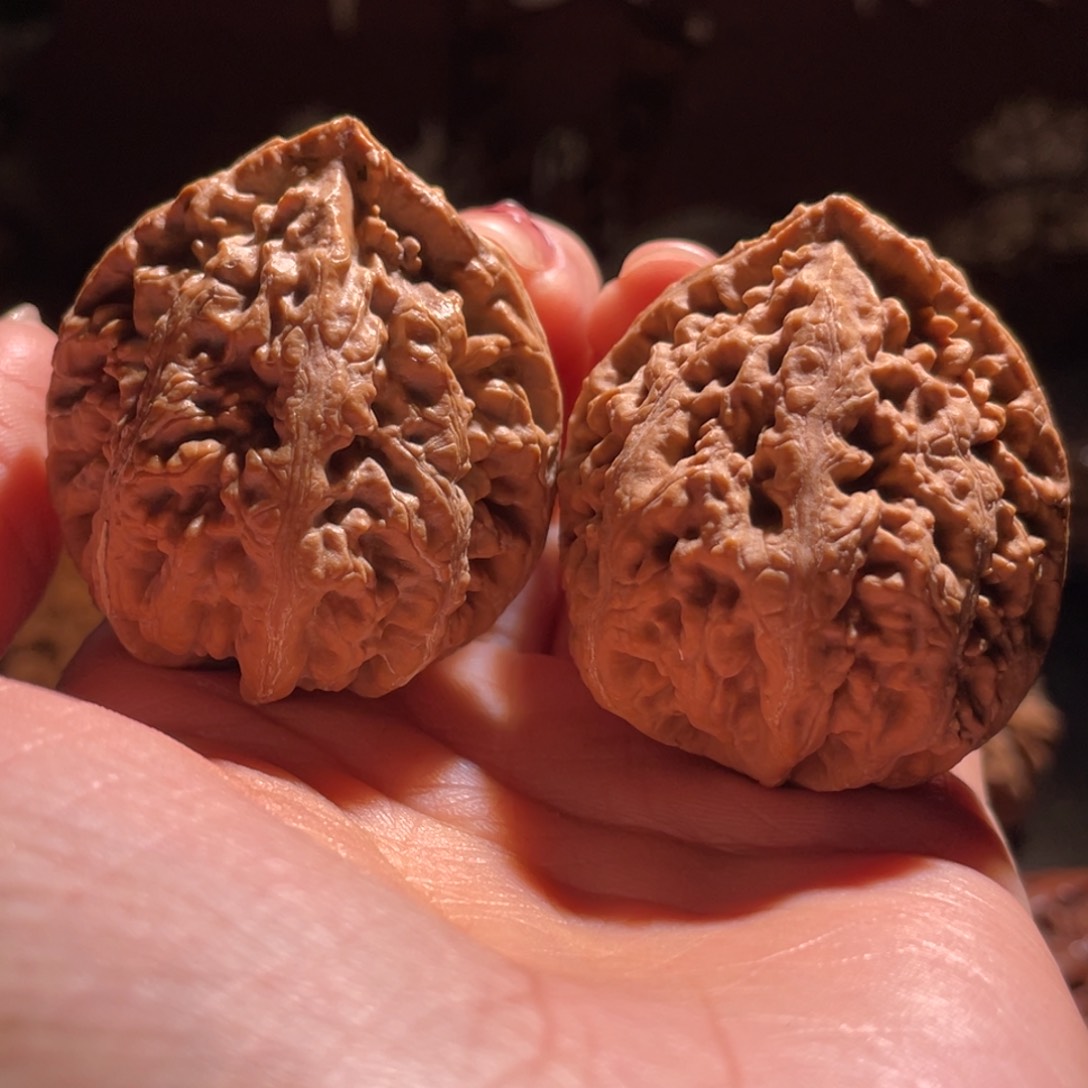 文玩核桃吊坠麒麟尊6