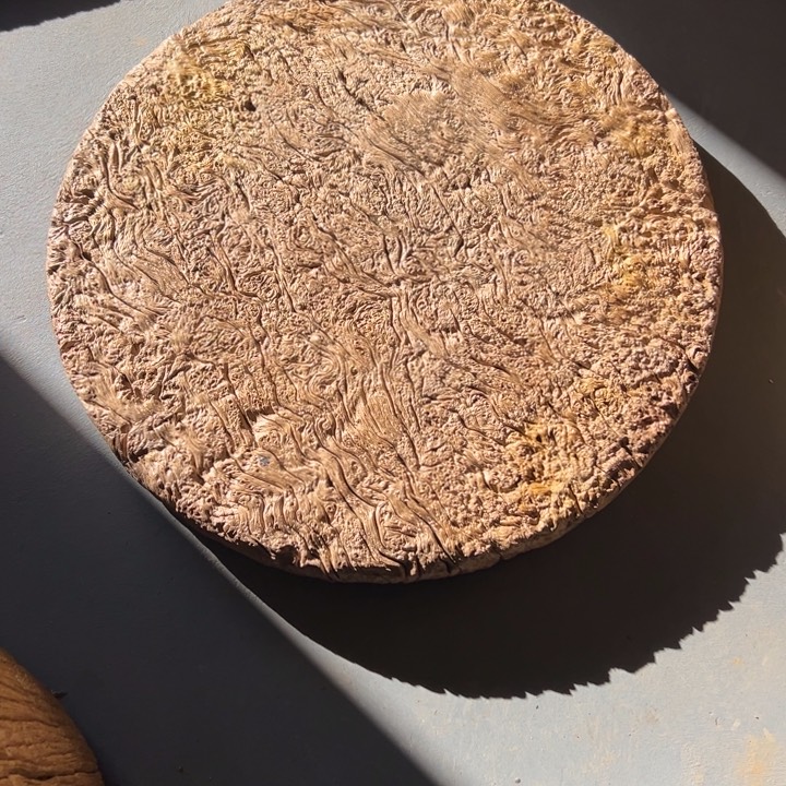 ?*?风化铁栎木小墩子