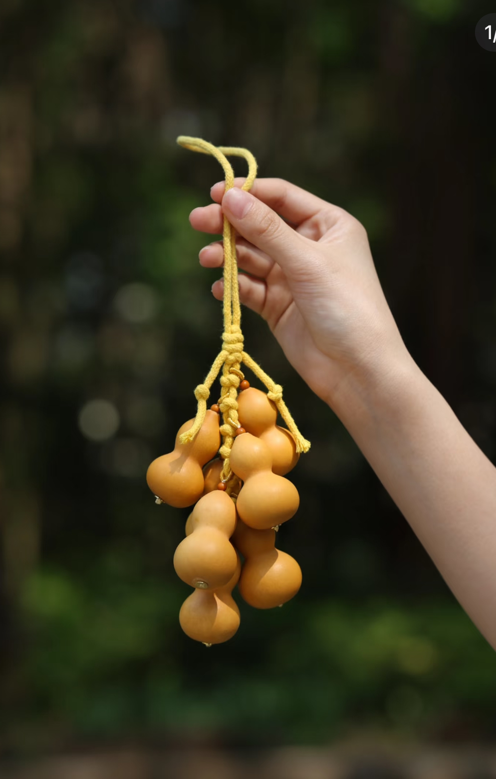 天然葫芦直接参加福利领取