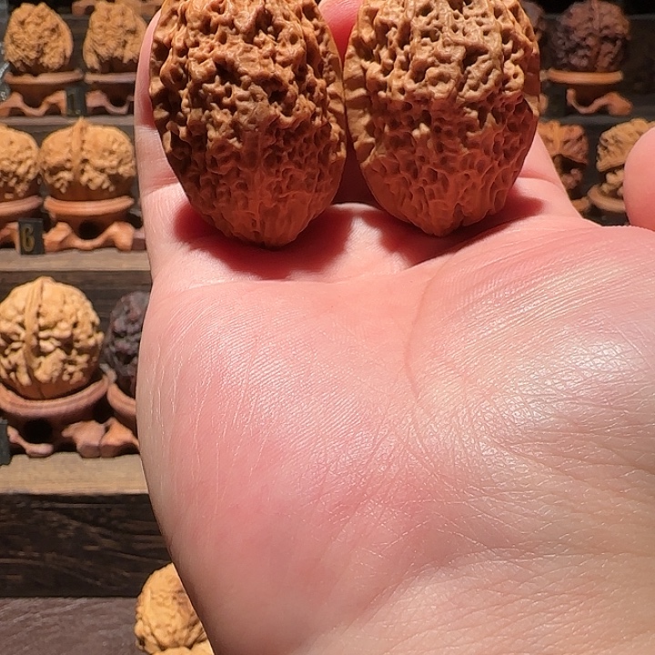 核桃云铁霸王枪37尺桩高51