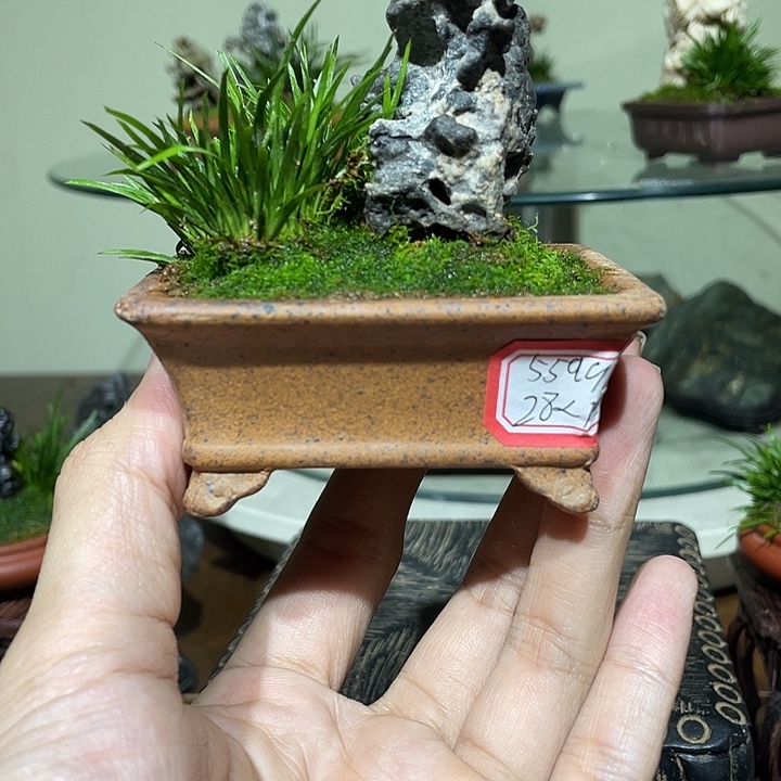 隐***n完全开放55995599