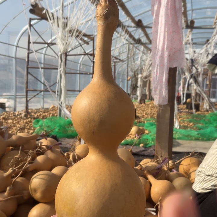 耐***使大叶紫檀（黑酸枝木类）