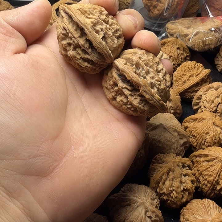 43尺麦虎全品无修
