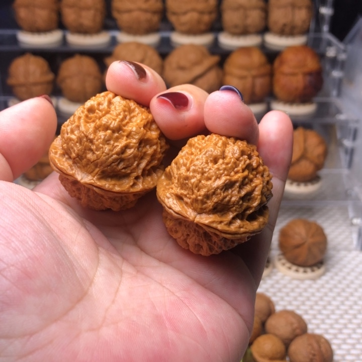 用***6把件文玩核桃200火焰绣球