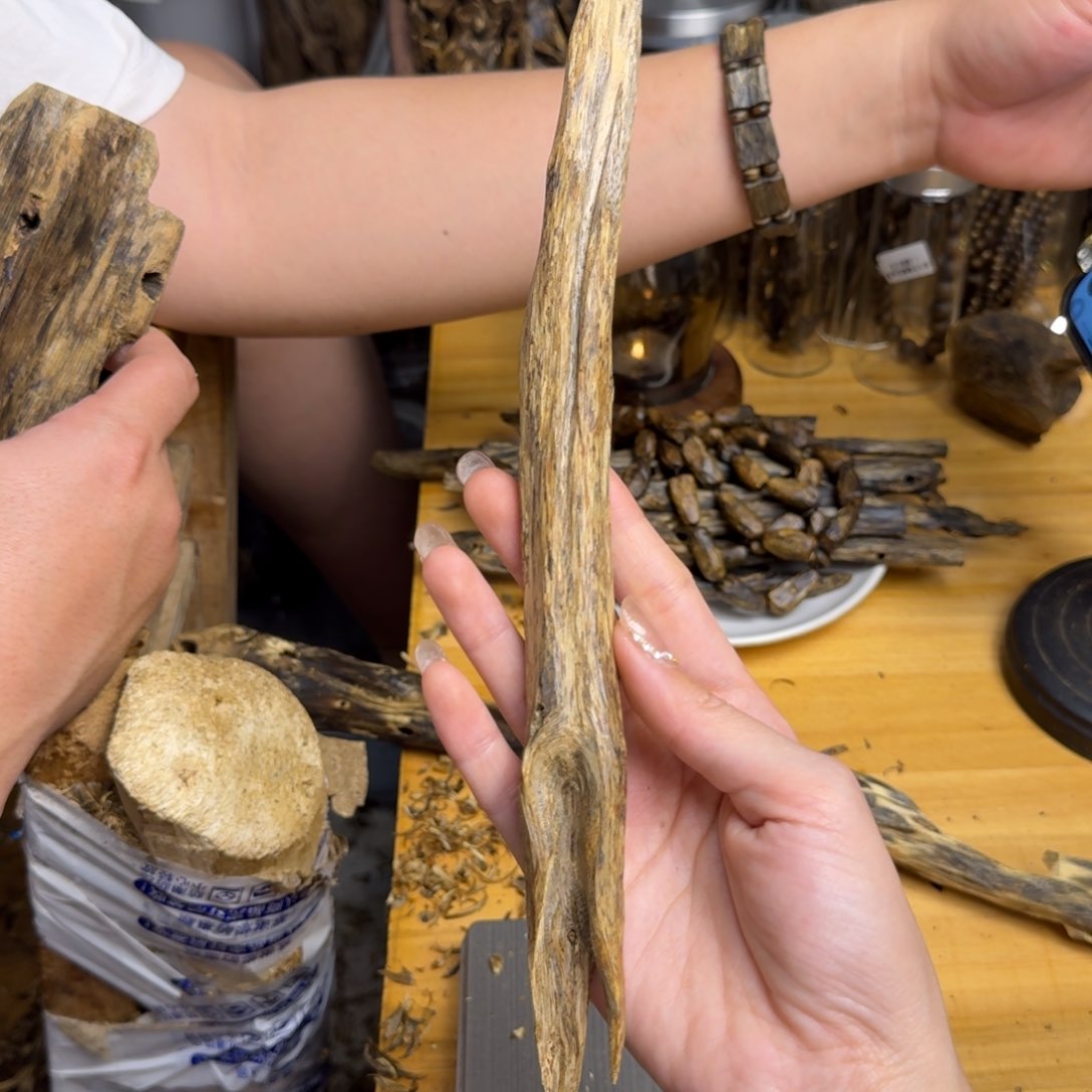 沉香手把件白棋母树天然虫漏块料31克