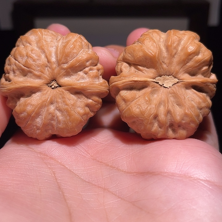 ****王核桃手串/手链蛤蟆头  