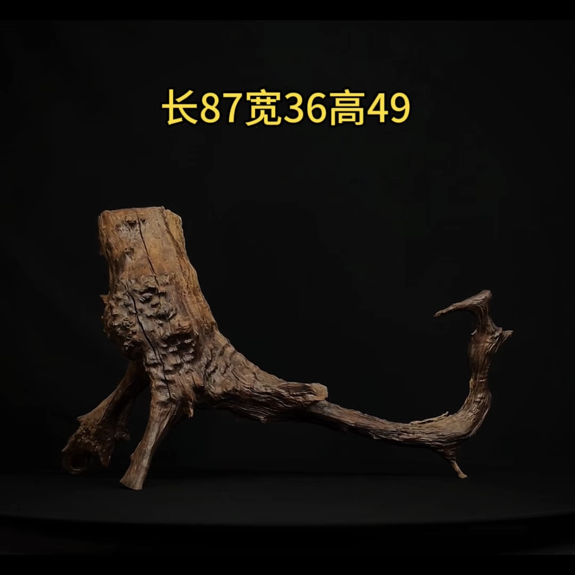 张大狼造景沉木长87cm树桩飘枝 南美鱼缸造景 紫柚木秒沉