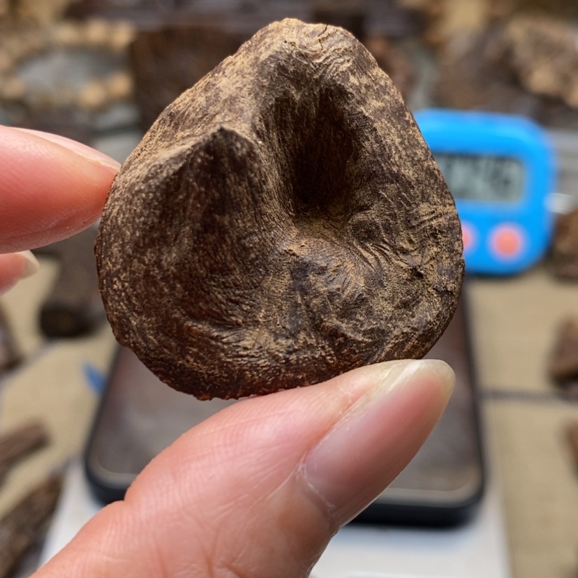 【闪购商品】沉香碎屑沉香恵安沉水